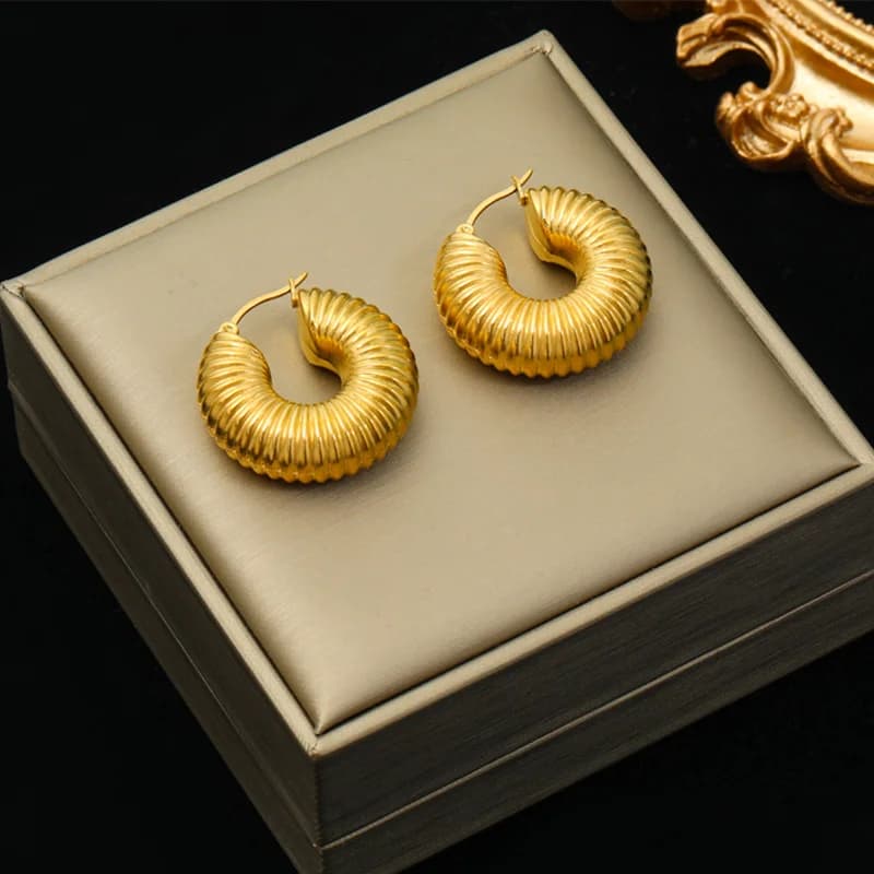 Stainless Steel Gold Round Hoop Earrings